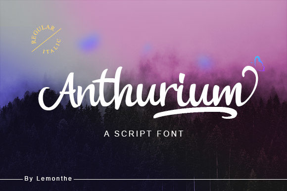 Anthurium: Where Timeless Elegance Meets Modern Creativity