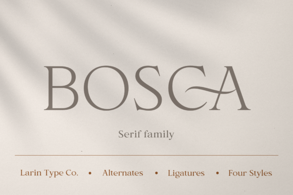Bosca: The Strategic Choice for Elevating Visual Communication