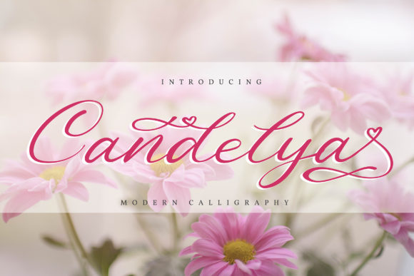 Candelya: The Handwritten Font for Delicate Craft Designs